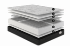 Majestic Series Mattress